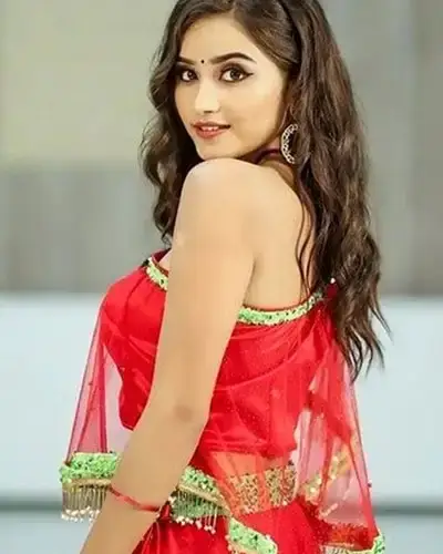 Call Girls Service Valarpuram
